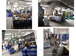 jh競輝250v定制電子線端子線加工工廠