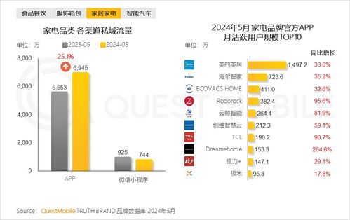 QuestMobile 2024年品牌數字化發展洞察報告 大循環體系成型與信息系統集成服務